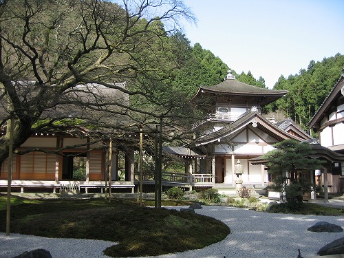 大楓3