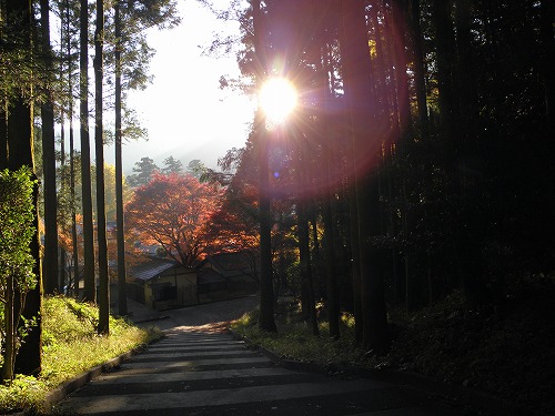 千如寺11