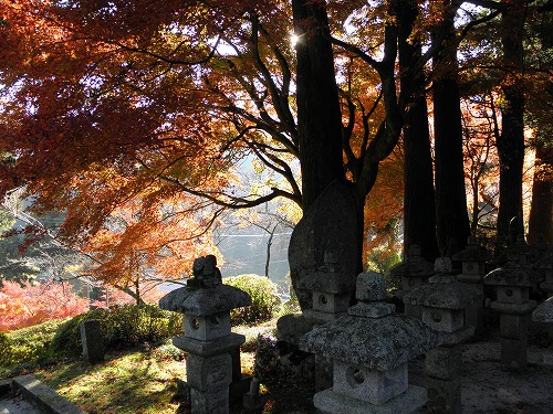 千如寺12