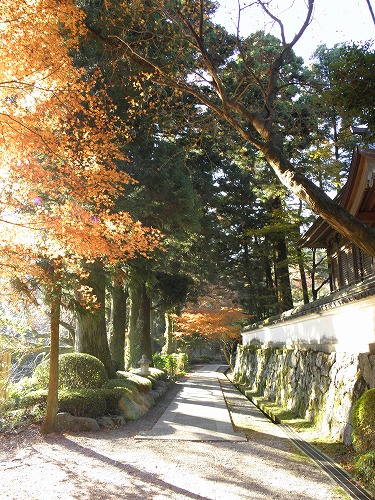 千如寺10