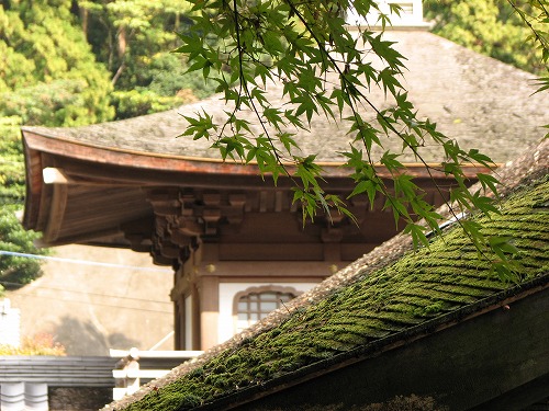 千如寺18