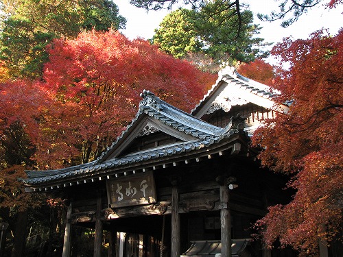 千如寺2