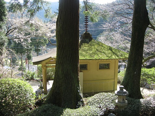 千如寺10