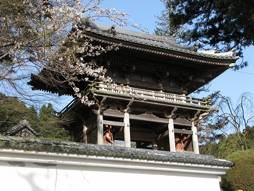 仁王門7