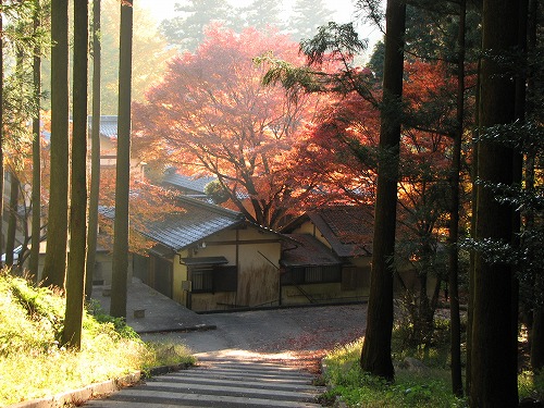 千如寺15