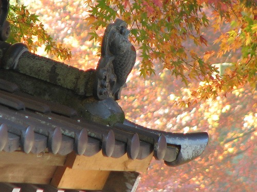 千如寺8
