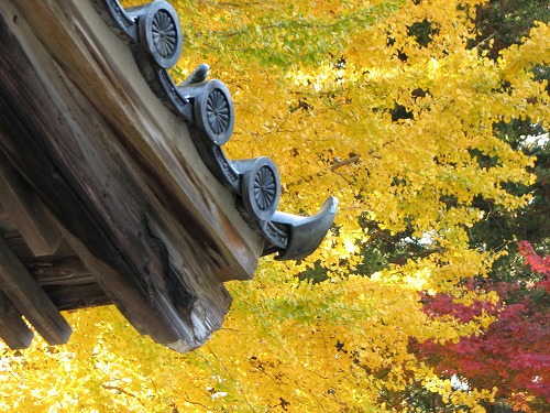 千如寺10