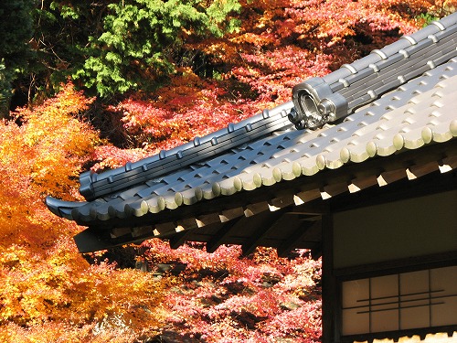 千如寺1