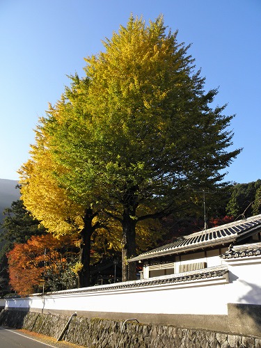 千如寺34