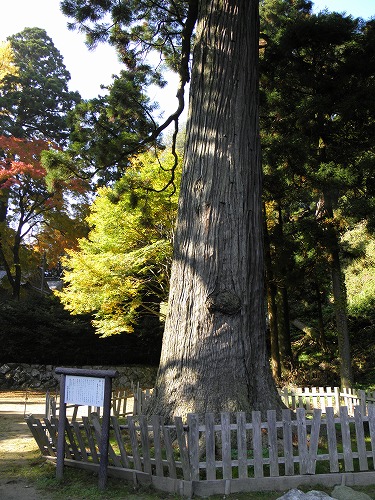 雷神社14