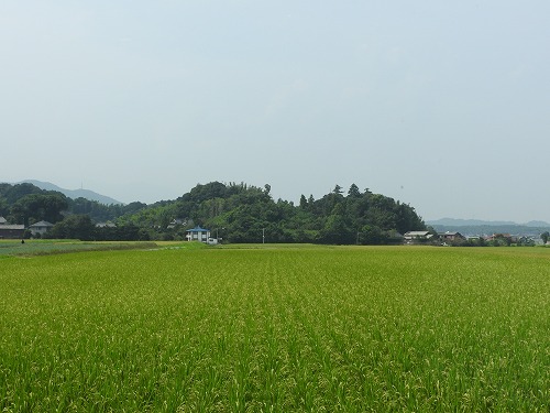 田園喫茶6