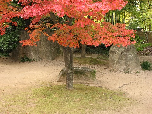 承天寺16