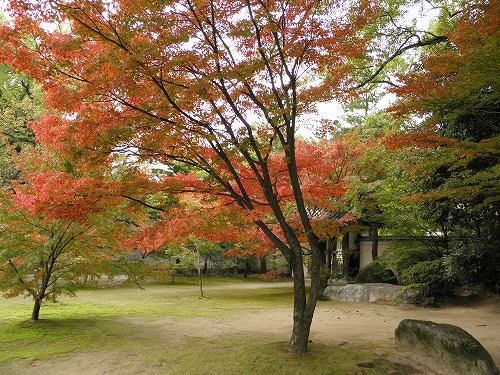 承天寺15