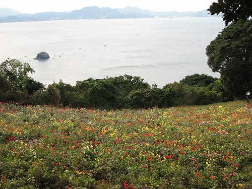 能古島6