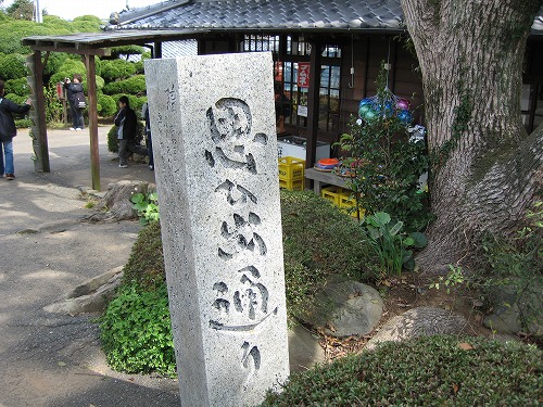 思ひ出通り9