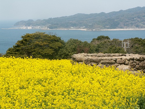 能古島5