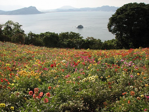 パノラマ花壇11