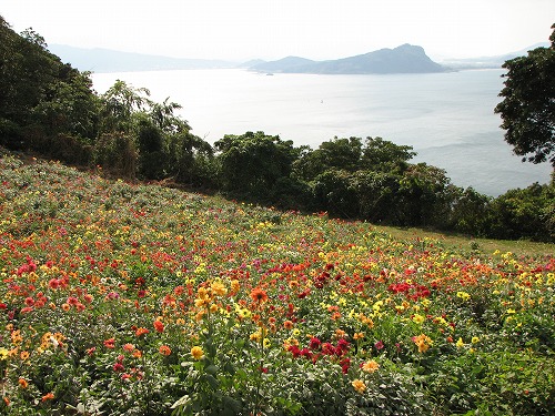 パノラマ花壇12