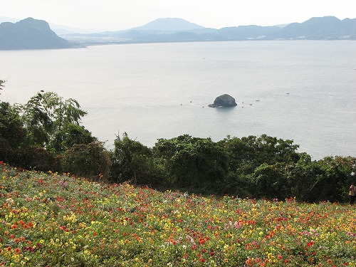パノラマ花壇14