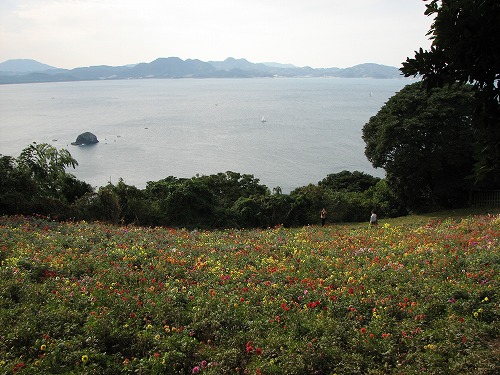 パノラマ花壇15