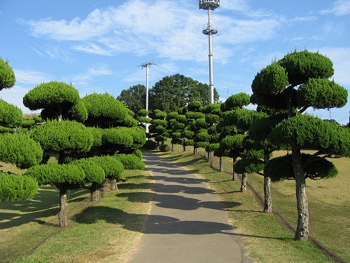 能古島2