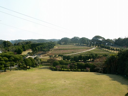 能古島5