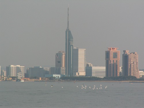 博多湾15