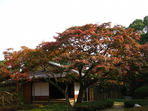 平尾山荘16