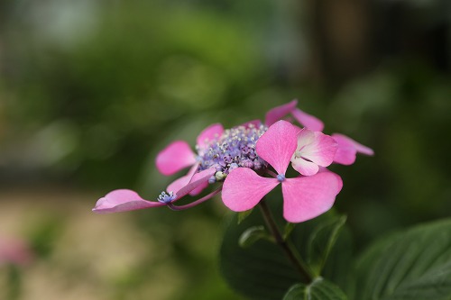 恵光院16