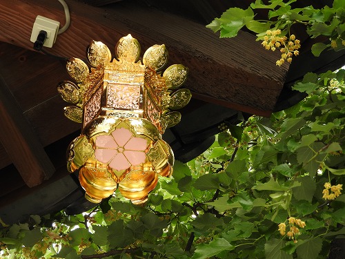 恵光院15