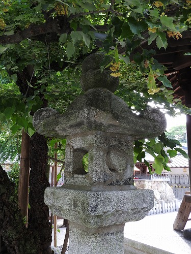 恵光院9