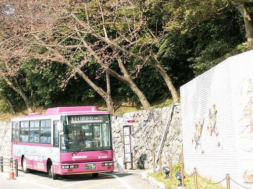 周遊バス8