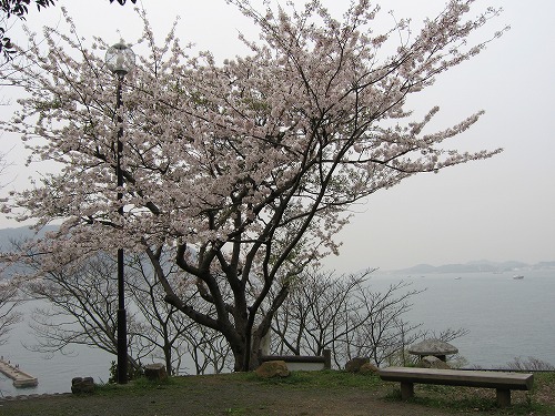 和布刈公園25