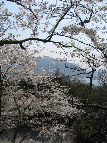 和布刈公園22