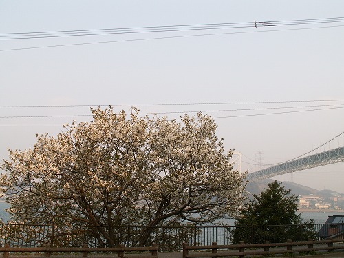 和布刈公園13