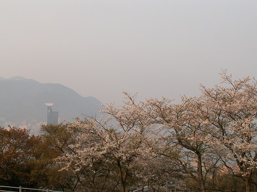和布刈公園15