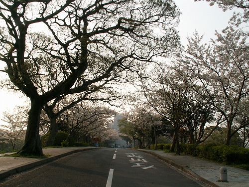 和布刈公園16