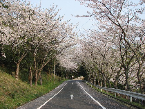 和布刈公園1