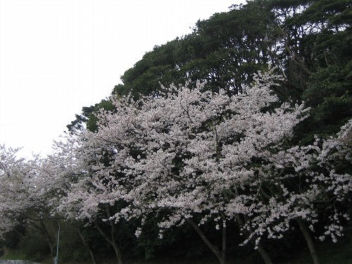 和布刈公園15