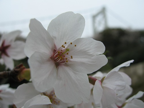 和布刈公園18