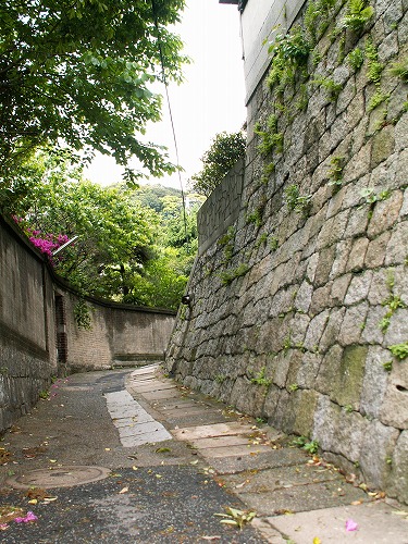 清滝13