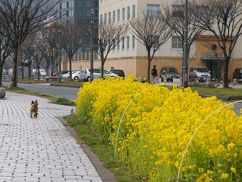 しおかぜの路2