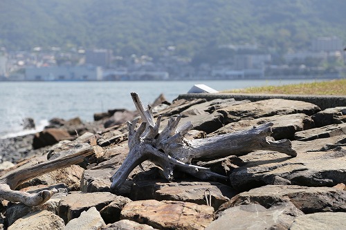 巌流島10