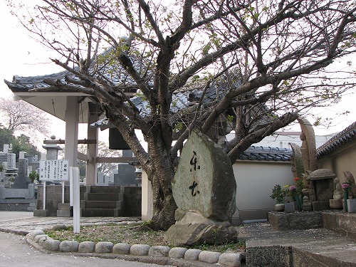 真光寺17