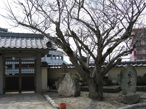 真光寺12