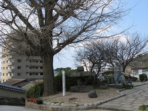 真光寺31
