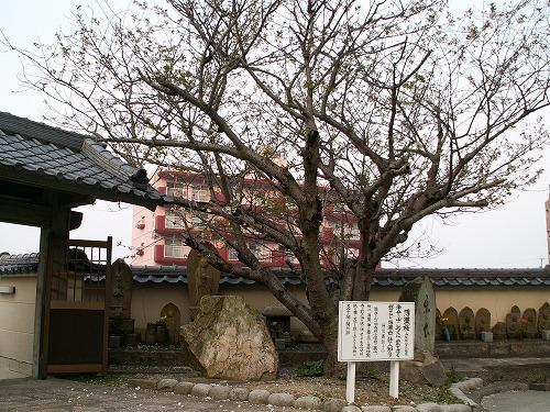 真光寺7
