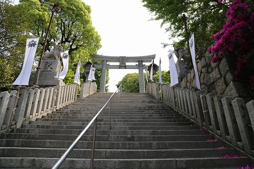 甲宗八幡神社27