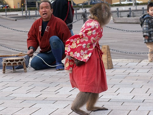 猿回し20