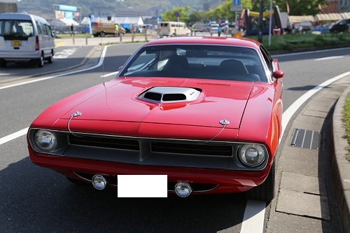 バラクーダ1